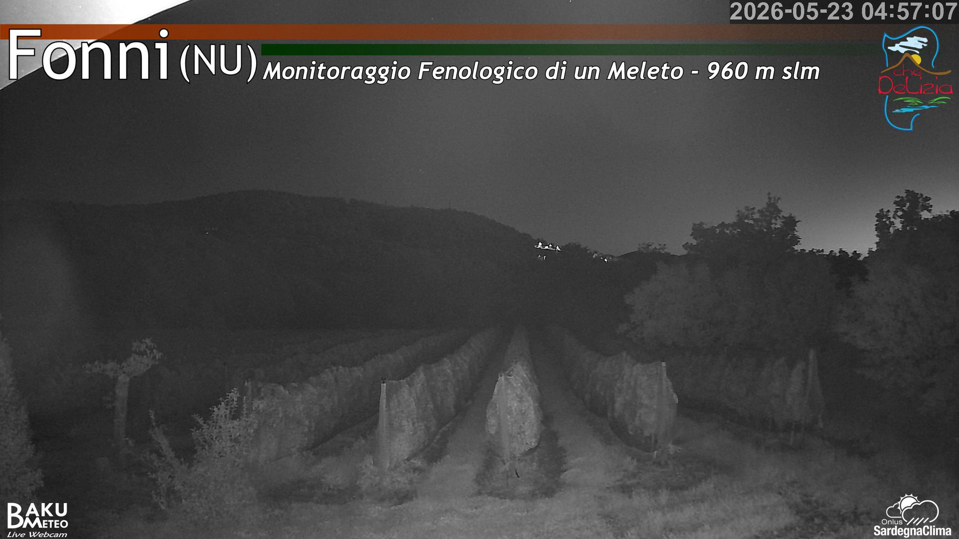 time-lapse frame, Fonni Meleto webcam