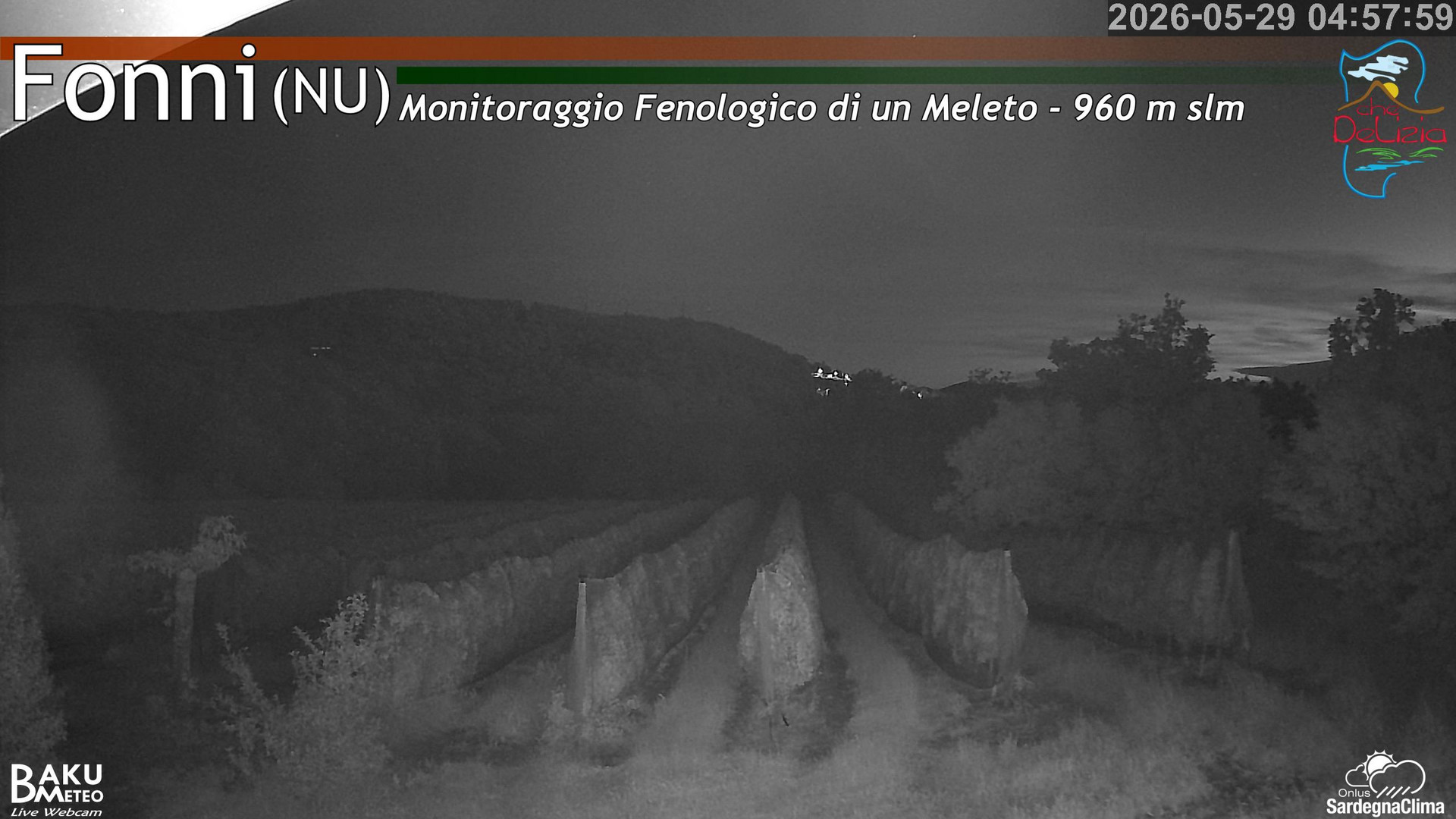 time-lapse frame, Fonni Meleto webcam