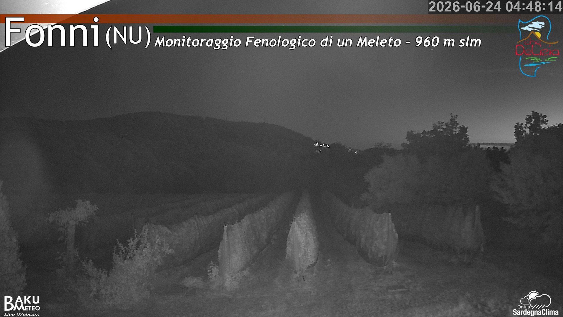 time-lapse frame, Fonni Meleto webcam