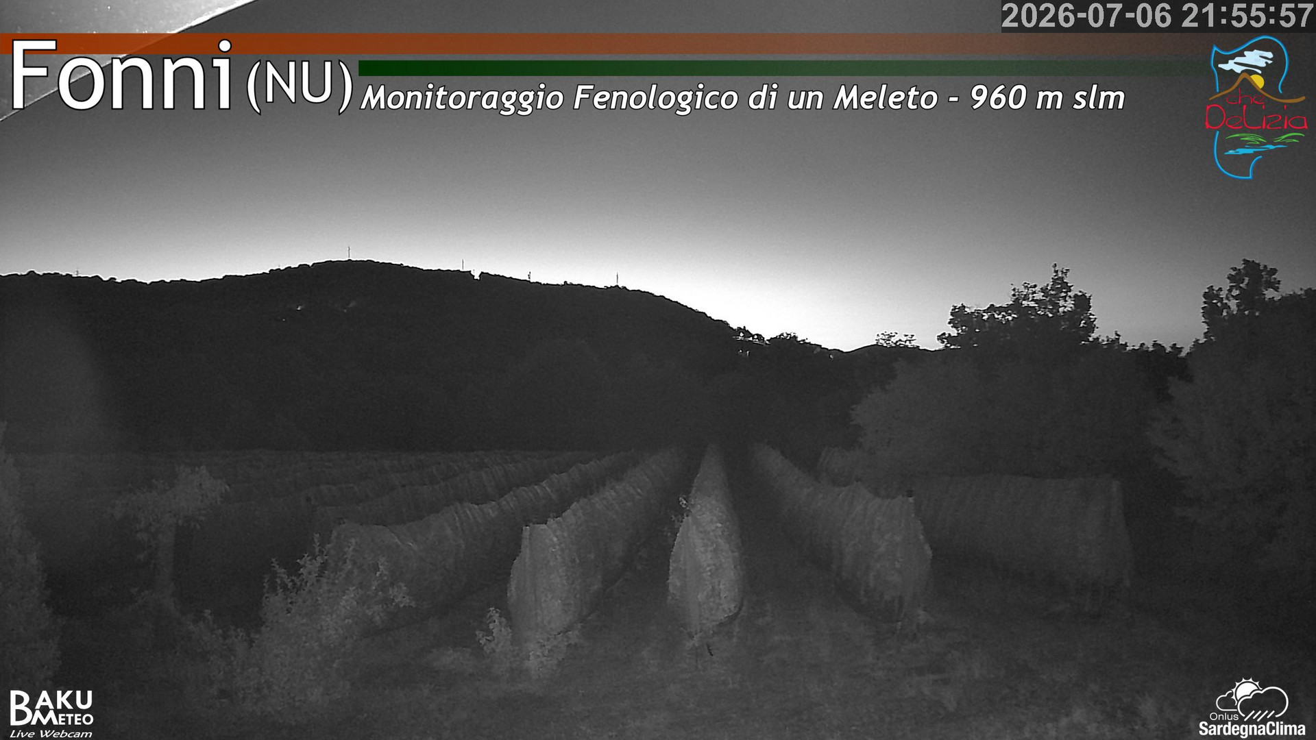 Fonni Meleto animated GIF