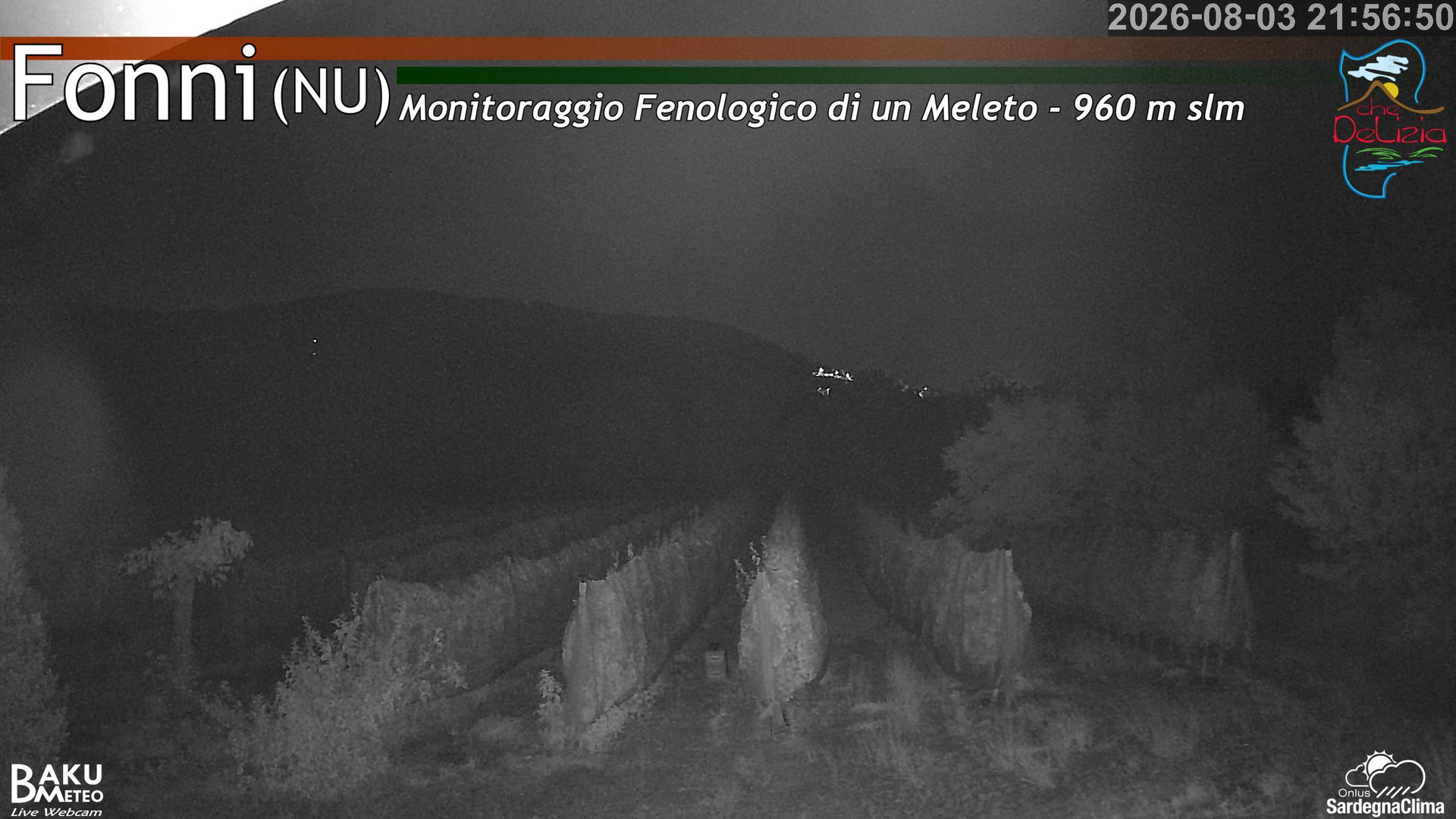 Fonni Meleto animated GIF