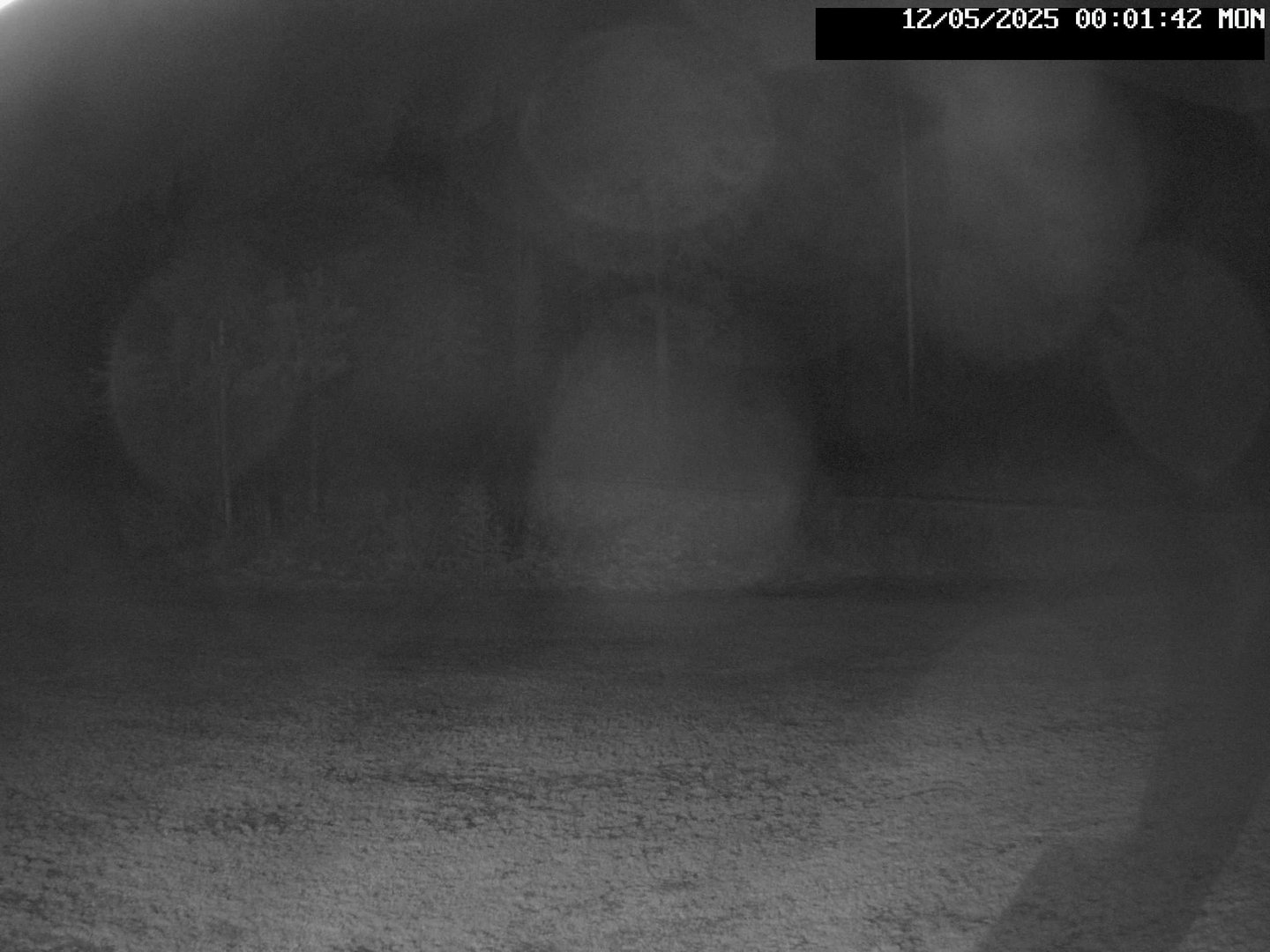 time-lapse frame, Stadium.Cam webcam