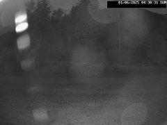 view from Stadium.Cam on 2025-06-01