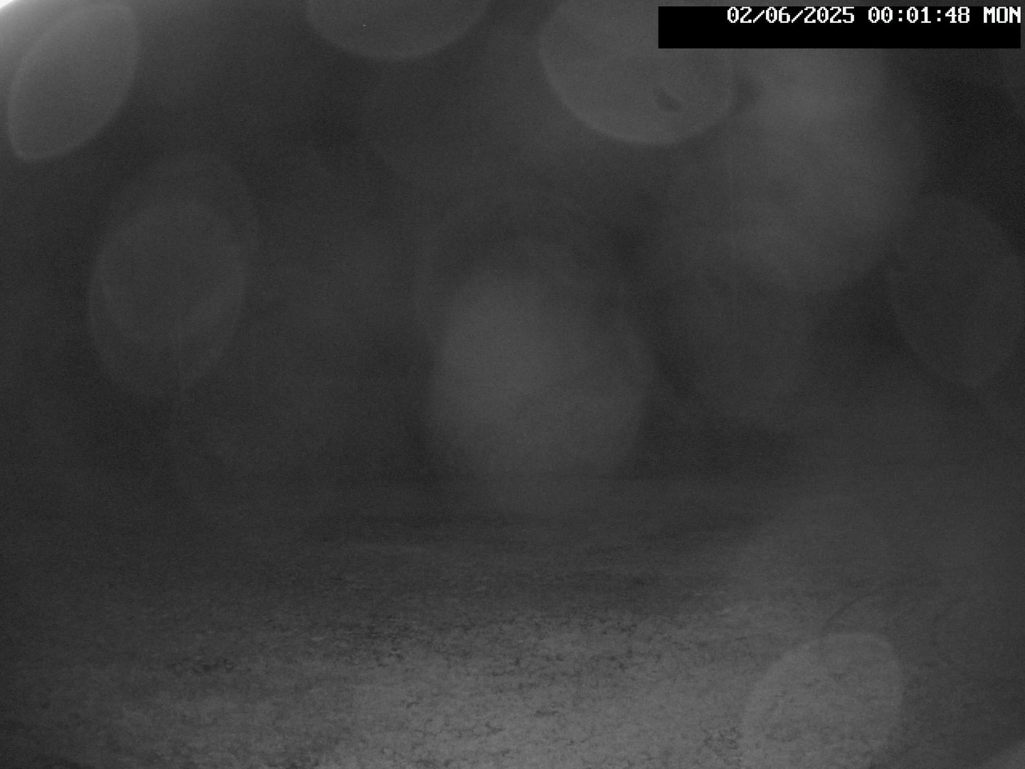 time-lapse frame, Stadium.Cam webcam