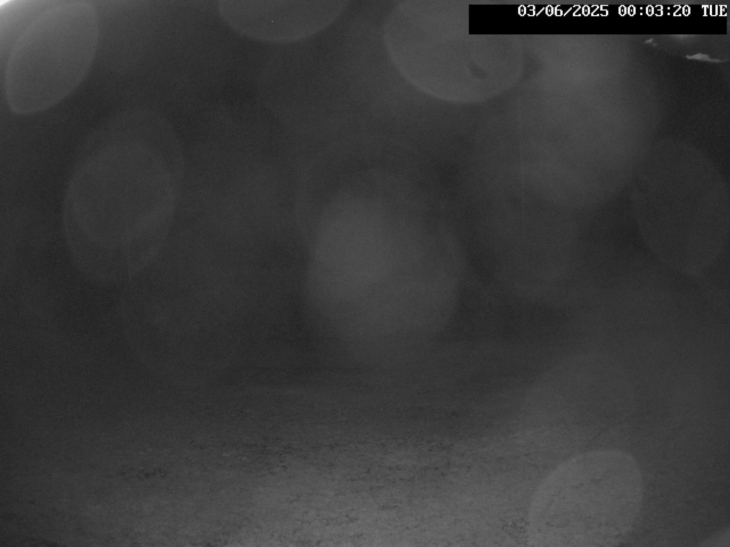 time-lapse frame, Stadium.Cam webcam