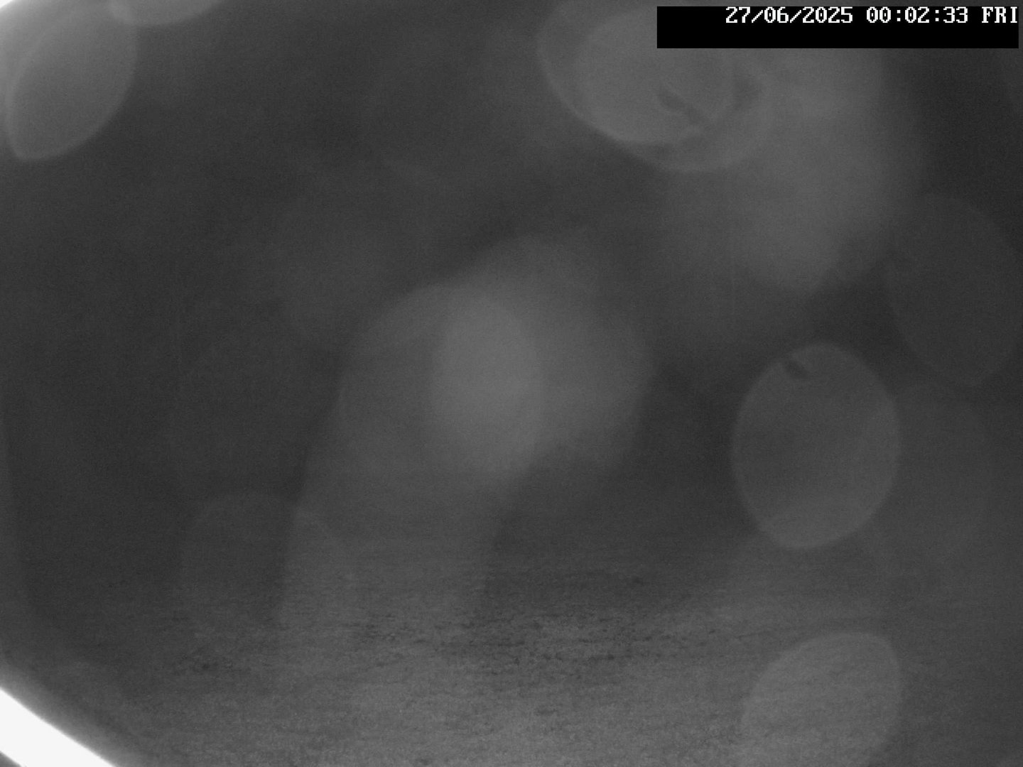 time-lapse frame, Stadium.Cam webcam