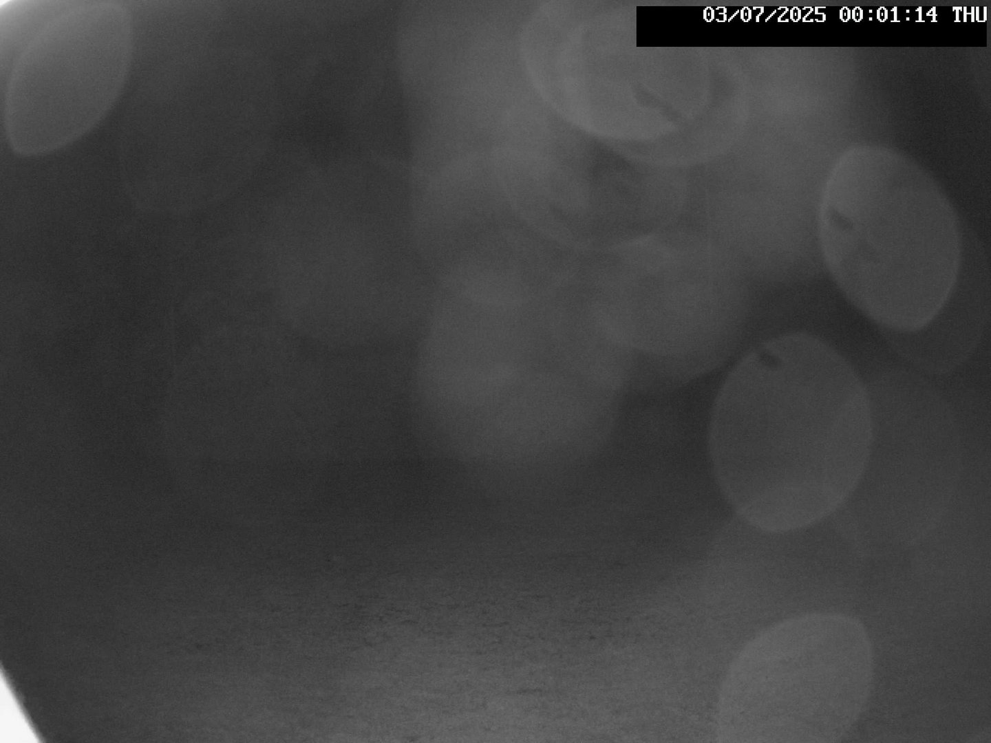 time-lapse frame, Stadium.Cam webcam