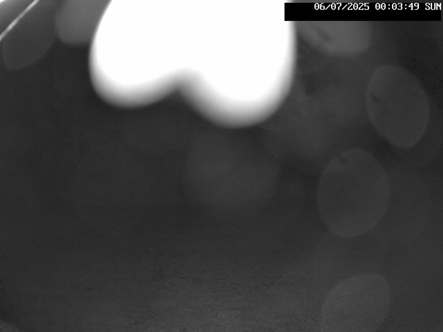 time-lapse frame, Stadium.Cam webcam