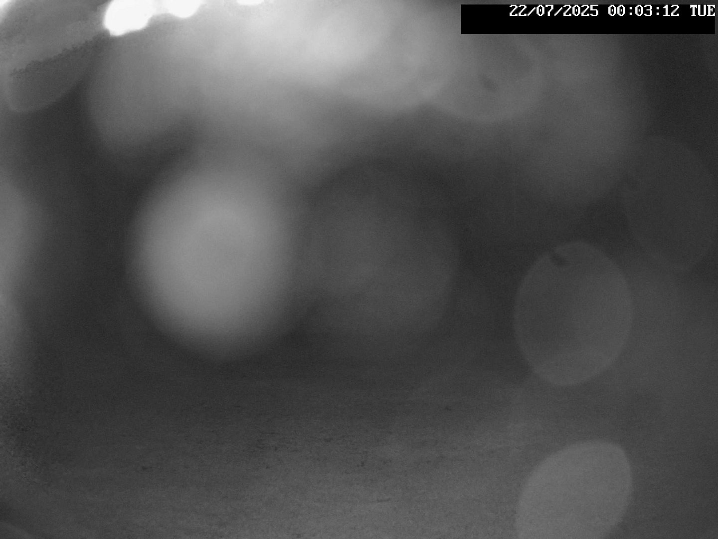 time-lapse frame, Stadium.Cam webcam