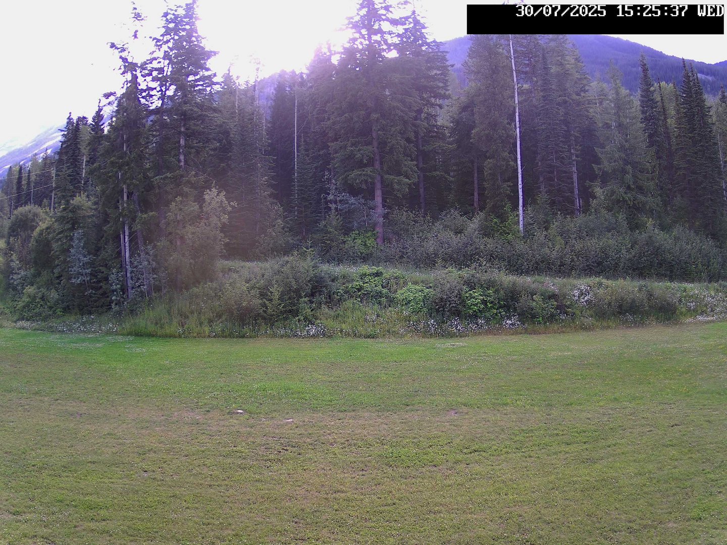 time-lapse frame, Stadium.Cam webcam