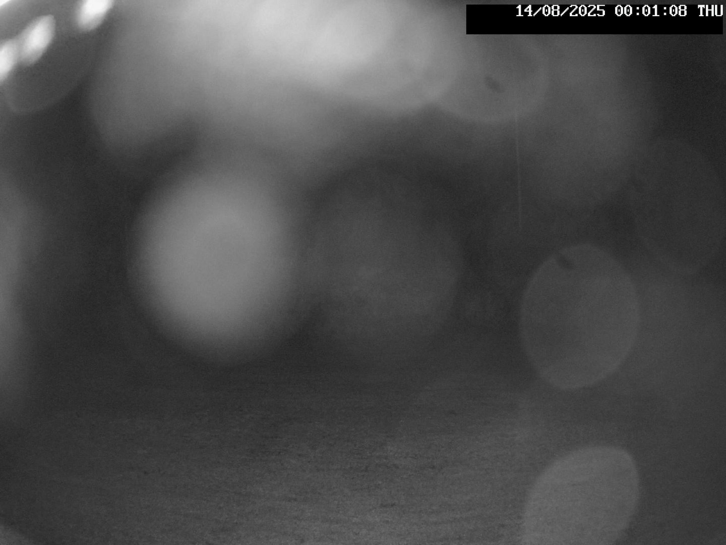 time-lapse frame, Stadium.Cam webcam