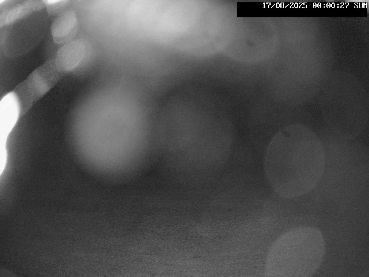 time-lapse frame, Stadium.Cam webcam
