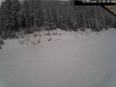 view from Stadium.Cam on 2026-04-15