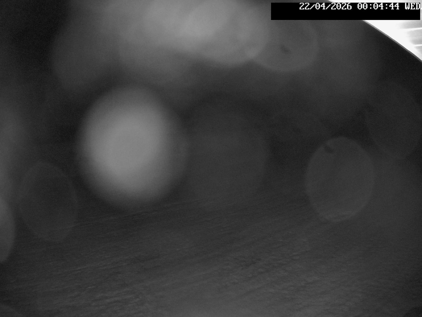 time-lapse frame, Stadium.Cam webcam