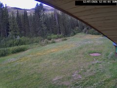 view from Stadium.Cam on 2026-07-12