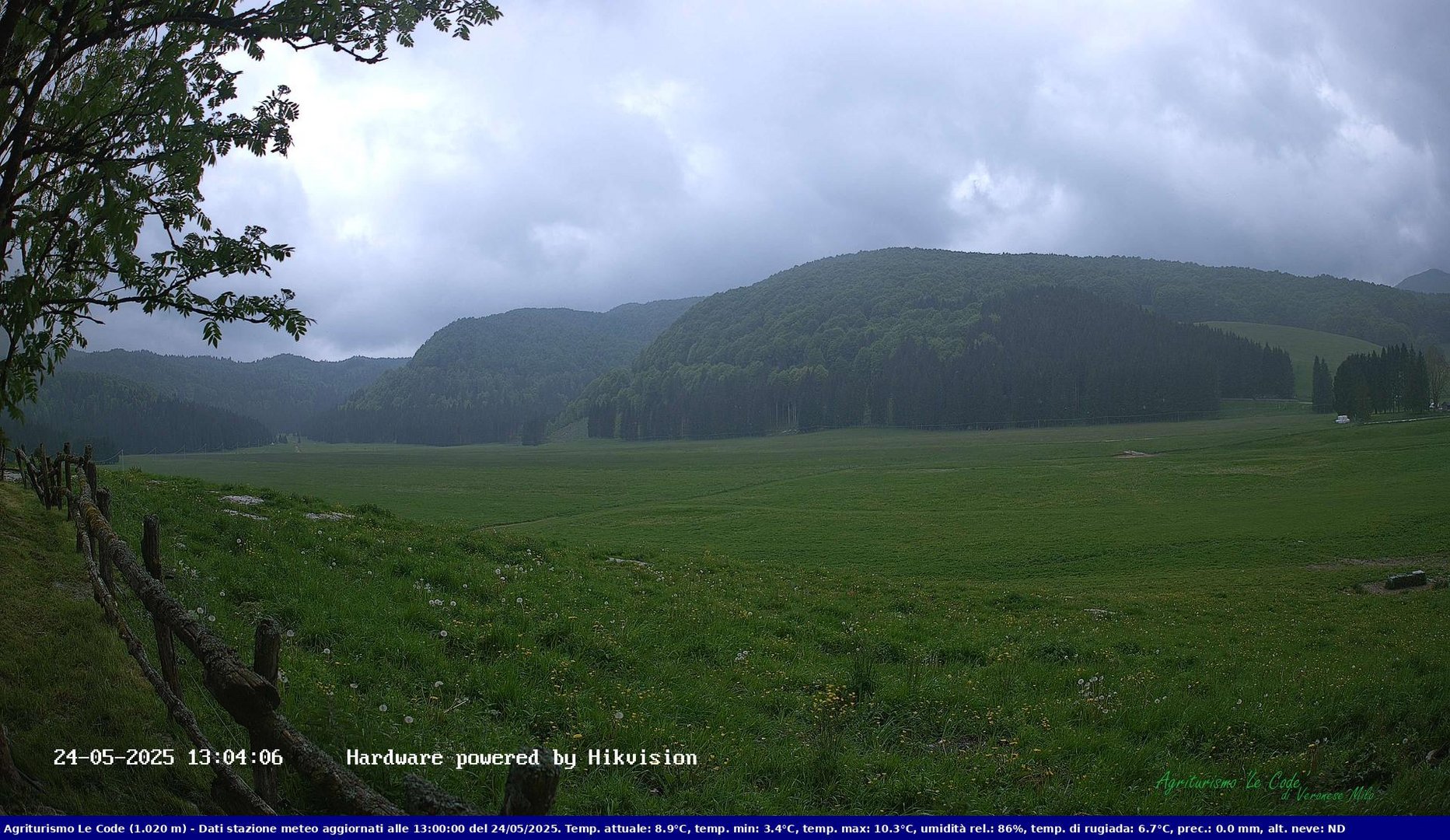 time-lapse frame, Webcam Cansiglio - verso la piana dei "Bech" webcam