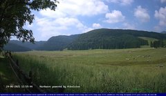 view from Webcam Cansiglio - verso la piana dei "Bech" on 2025-06-24
