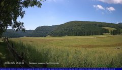 view from Webcam Cansiglio - verso la piana dei "Bech" on 2025-06-28
