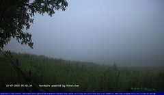 view from Webcam Cansiglio - verso la piana dei "Bech" on 2025-07-15