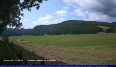view from Webcam Cansiglio - verso la piana dei "Bech" on 2025-08-07