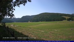 view from Webcam Cansiglio - verso la piana dei "Bech" on 2025-08-14