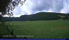 view from Webcam Cansiglio - verso la piana dei "Bech" on 2025-09-13