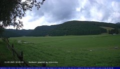 view from Webcam Cansiglio - verso la piana dei "Bech" on 2025-09-13