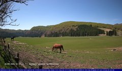 view from Webcam Cansiglio - verso la piana dei "Bech" on 2026-04-26
