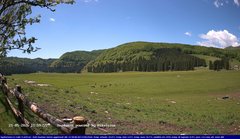 view from Webcam Cansiglio - verso la piana dei "Bech" on 2026-05-21