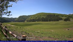 view from Webcam Cansiglio - verso la piana dei "Bech" on 2026-05-22