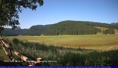 view from Webcam Cansiglio - verso la piana dei "Bech" on 2026-07-07