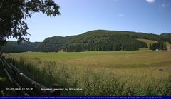 view from Webcam Cansiglio - verso la piana dei "Bech" on 2026-07-19
