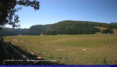 view from Webcam Cansiglio - verso la piana dei "Bech" on 2026-08-15