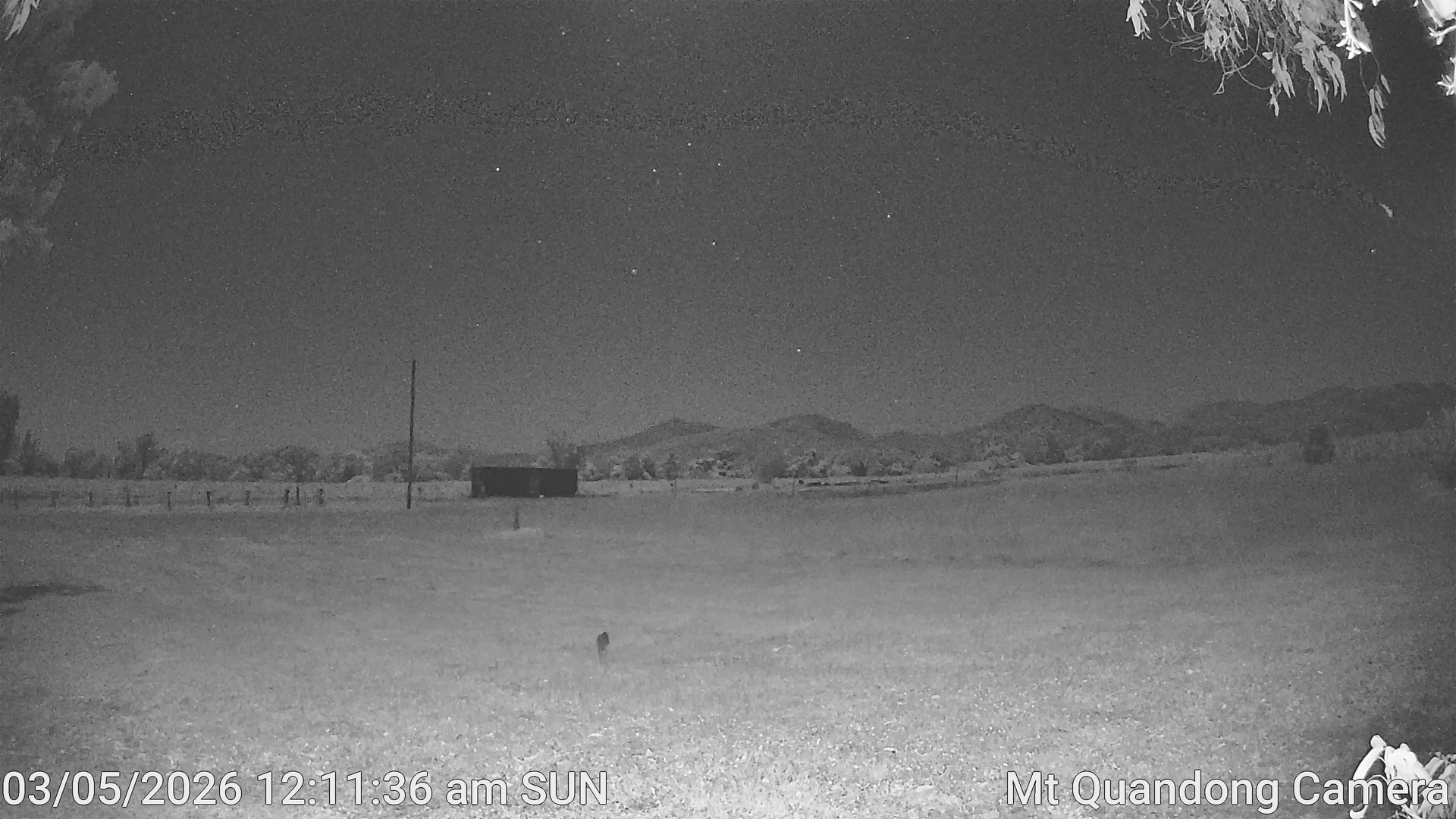 time-lapse frame, Mt Quandong Camera webcam