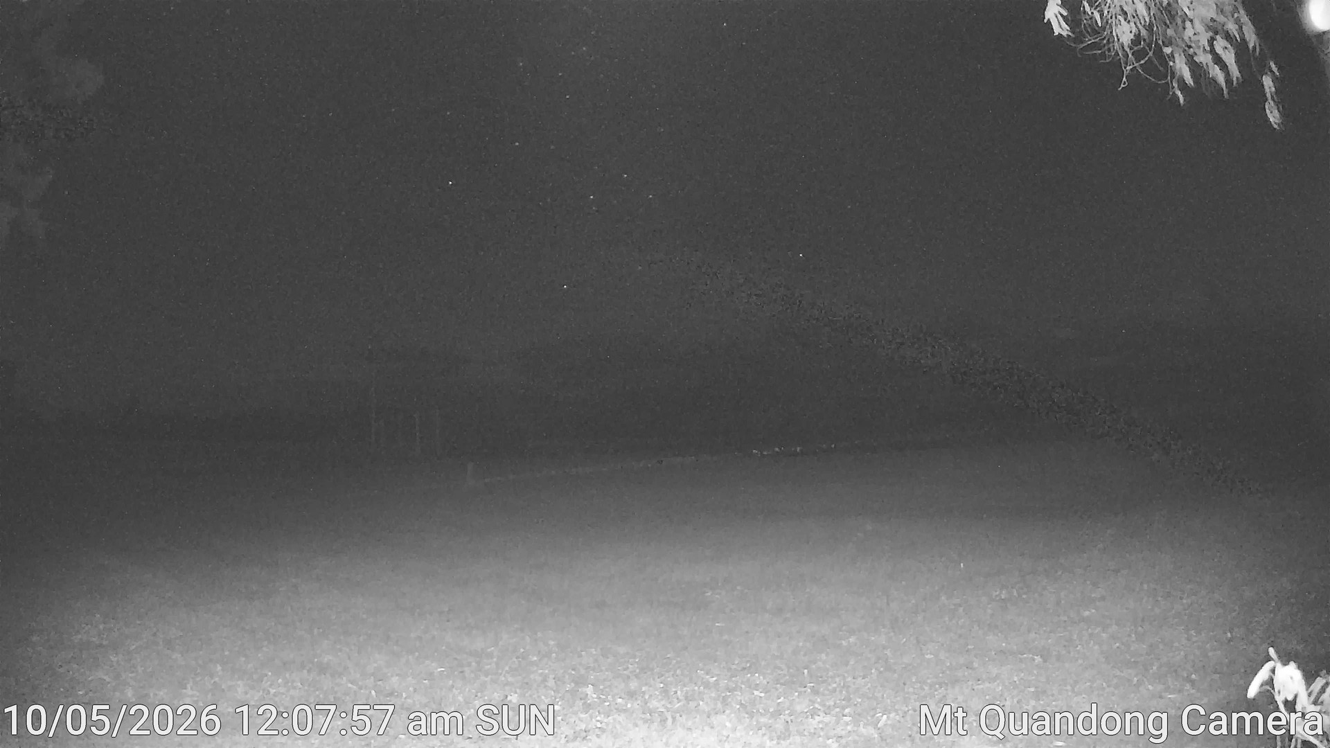 time-lapse frame, Mt Quandong Camera webcam