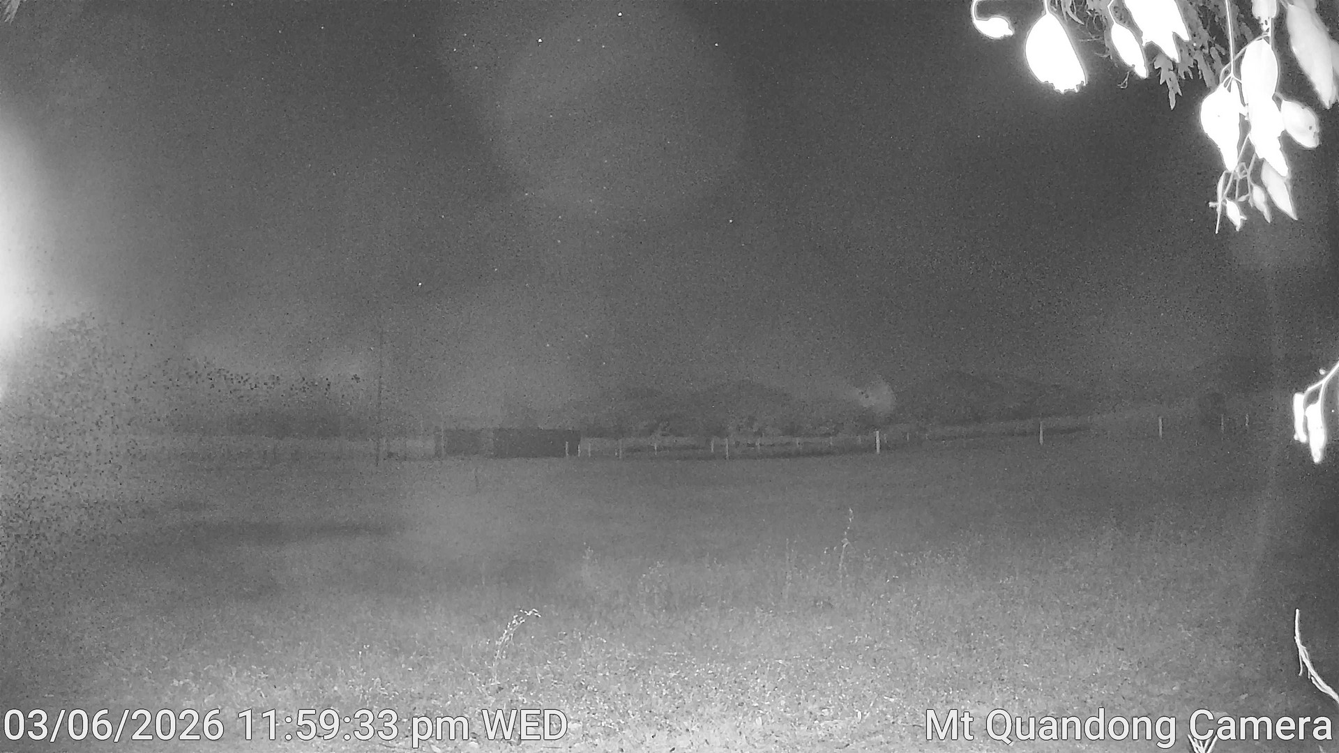time-lapse frame, Mt Quandong Camera webcam