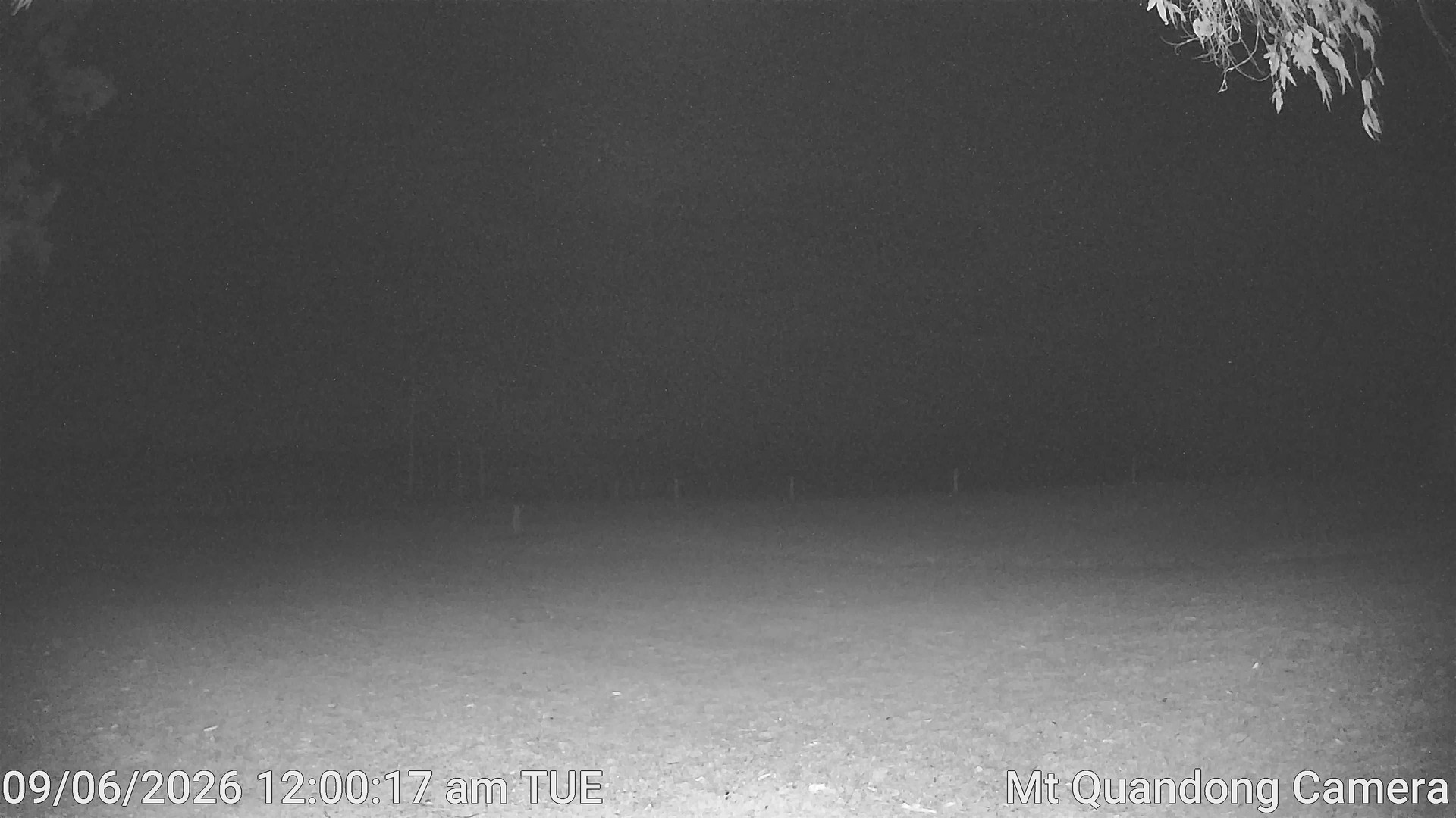 time-lapse frame, Mt Quandong Camera webcam