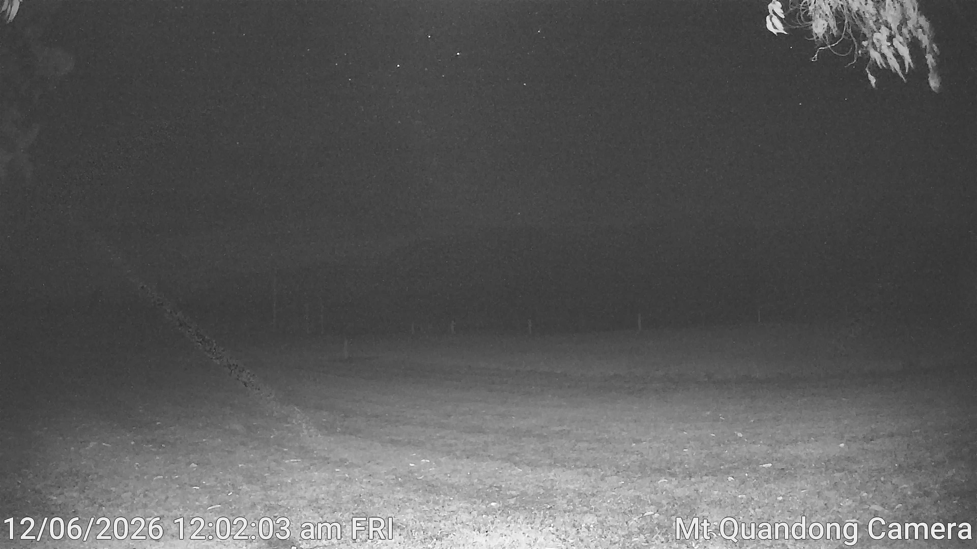 time-lapse frame, Mt Quandong Camera webcam