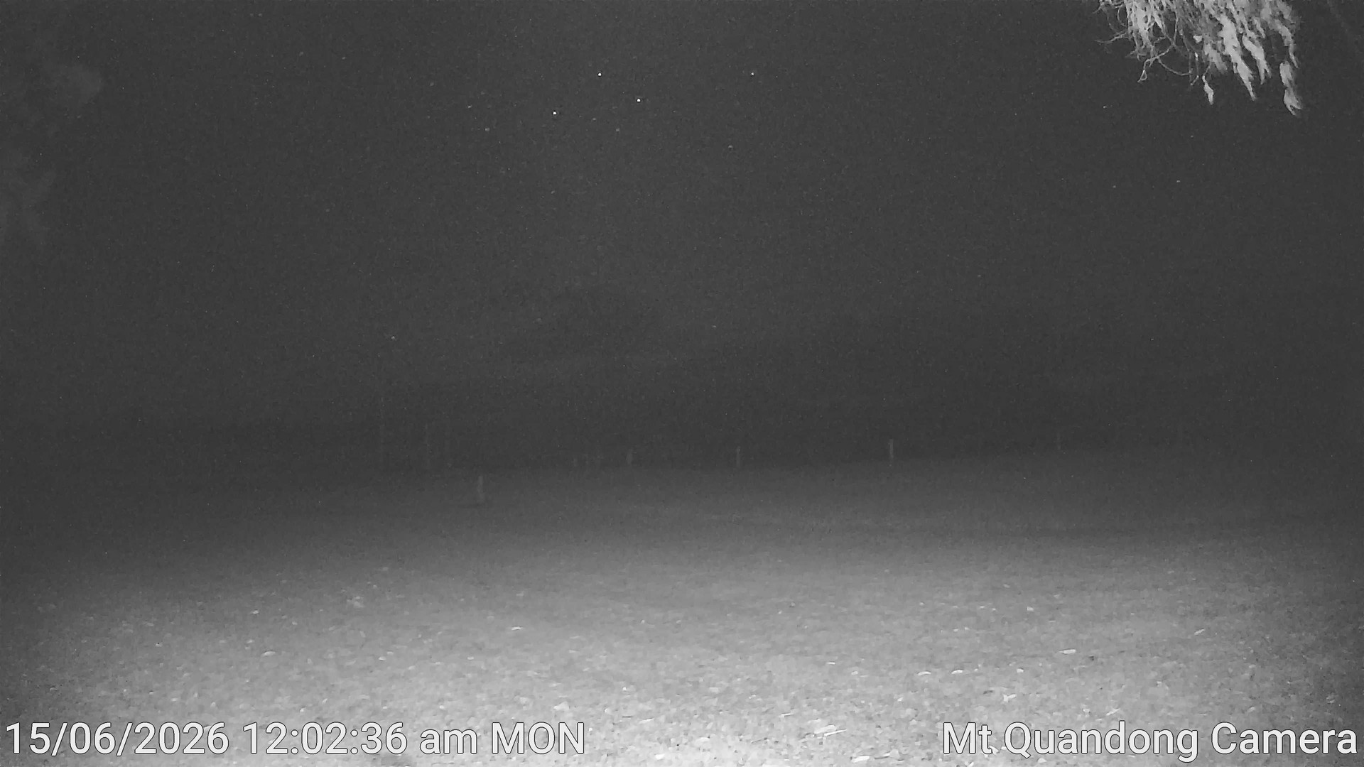 time-lapse frame, Mt Quandong Camera webcam