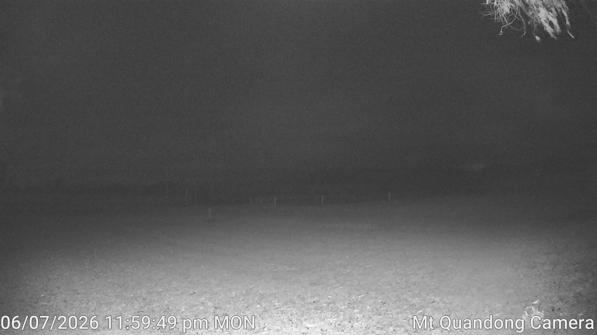 time-lapse frame, Mt Quandong Camera webcam