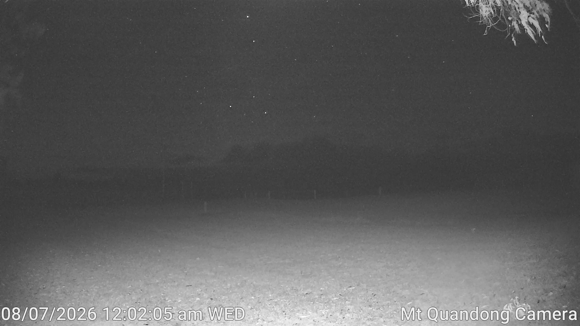 time-lapse frame, Mt Quandong Camera webcam
