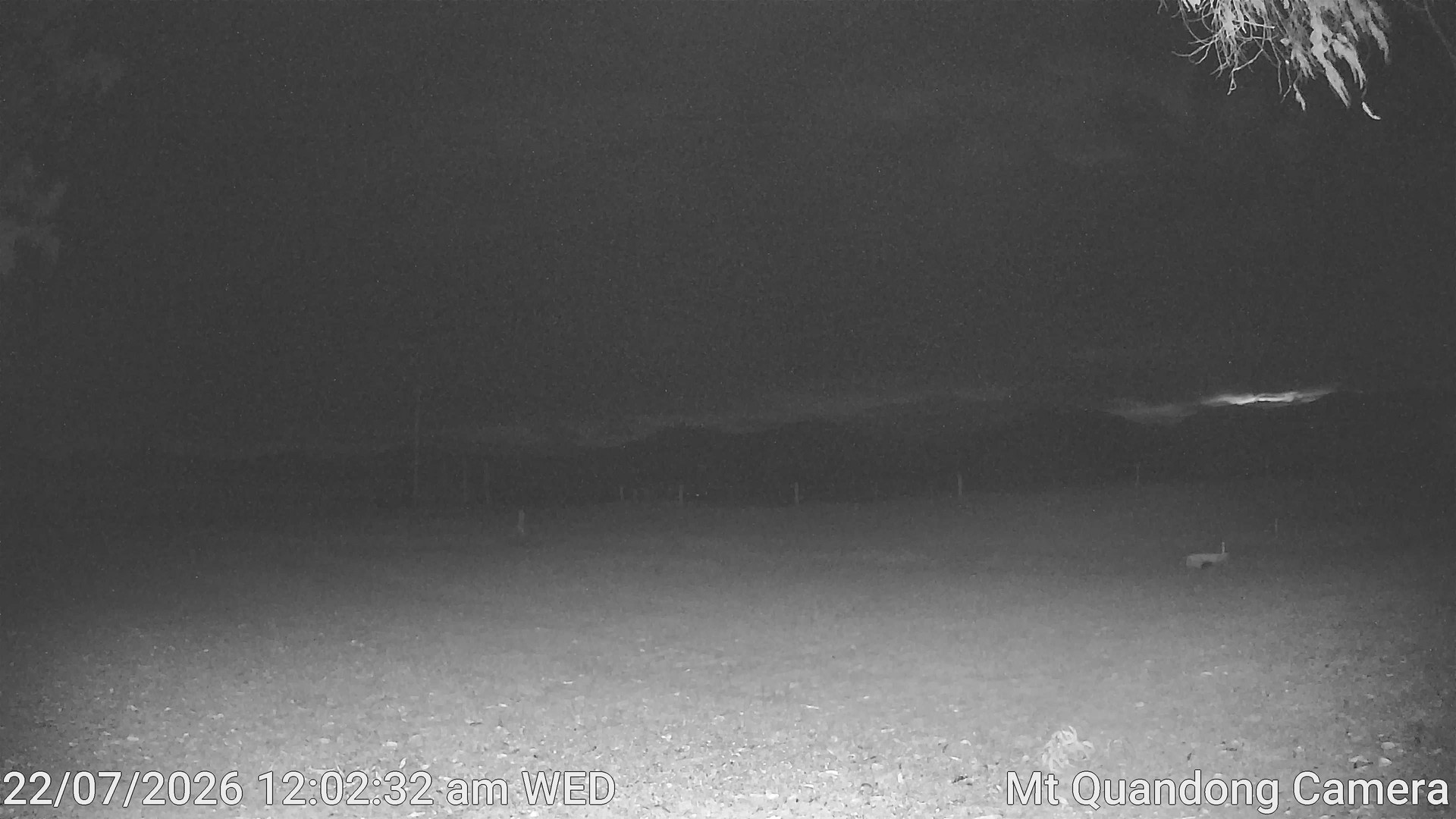 time-lapse frame, Mt Quandong Camera webcam