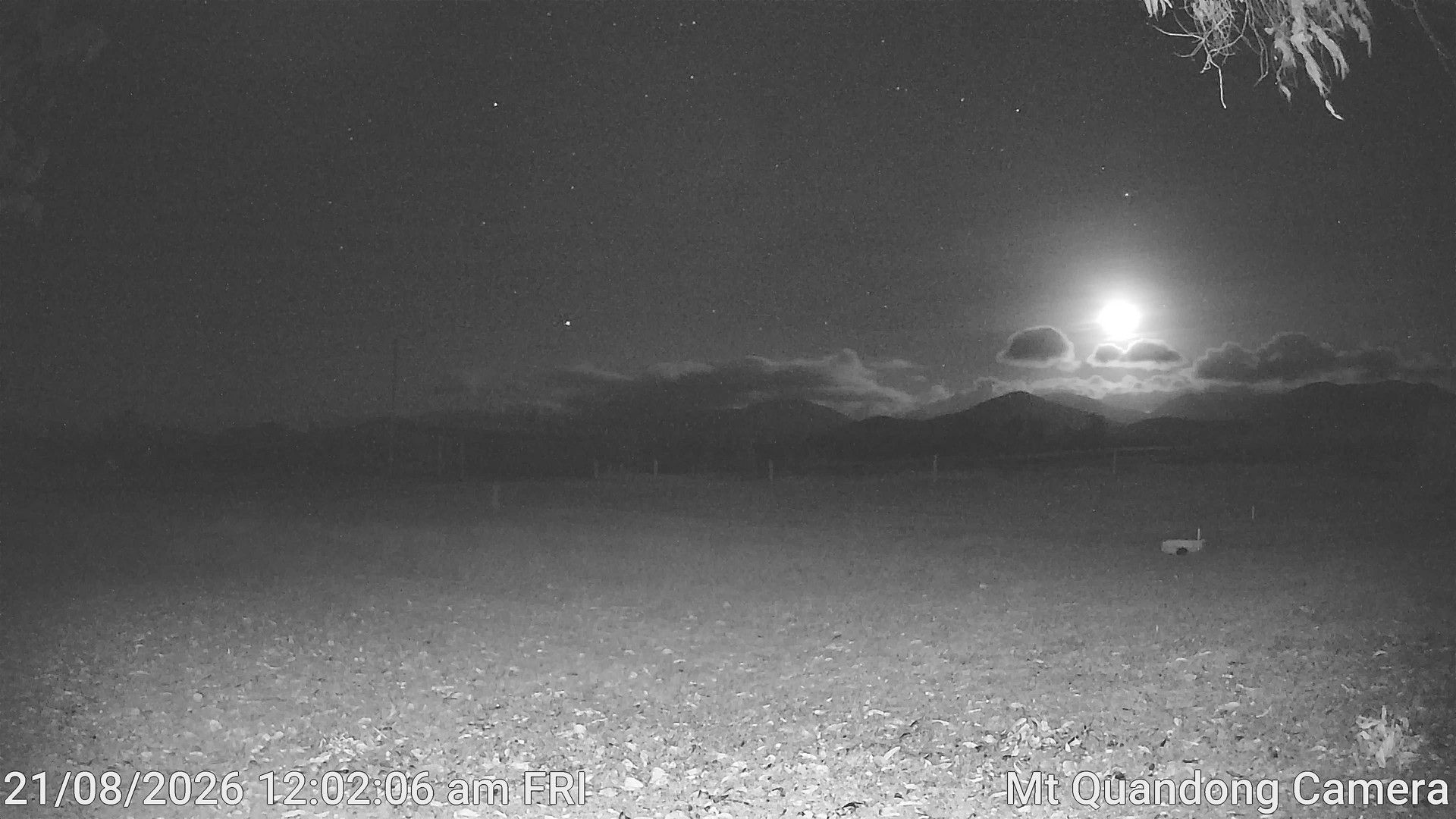 time-lapse frame, Mt Quandong Camera webcam