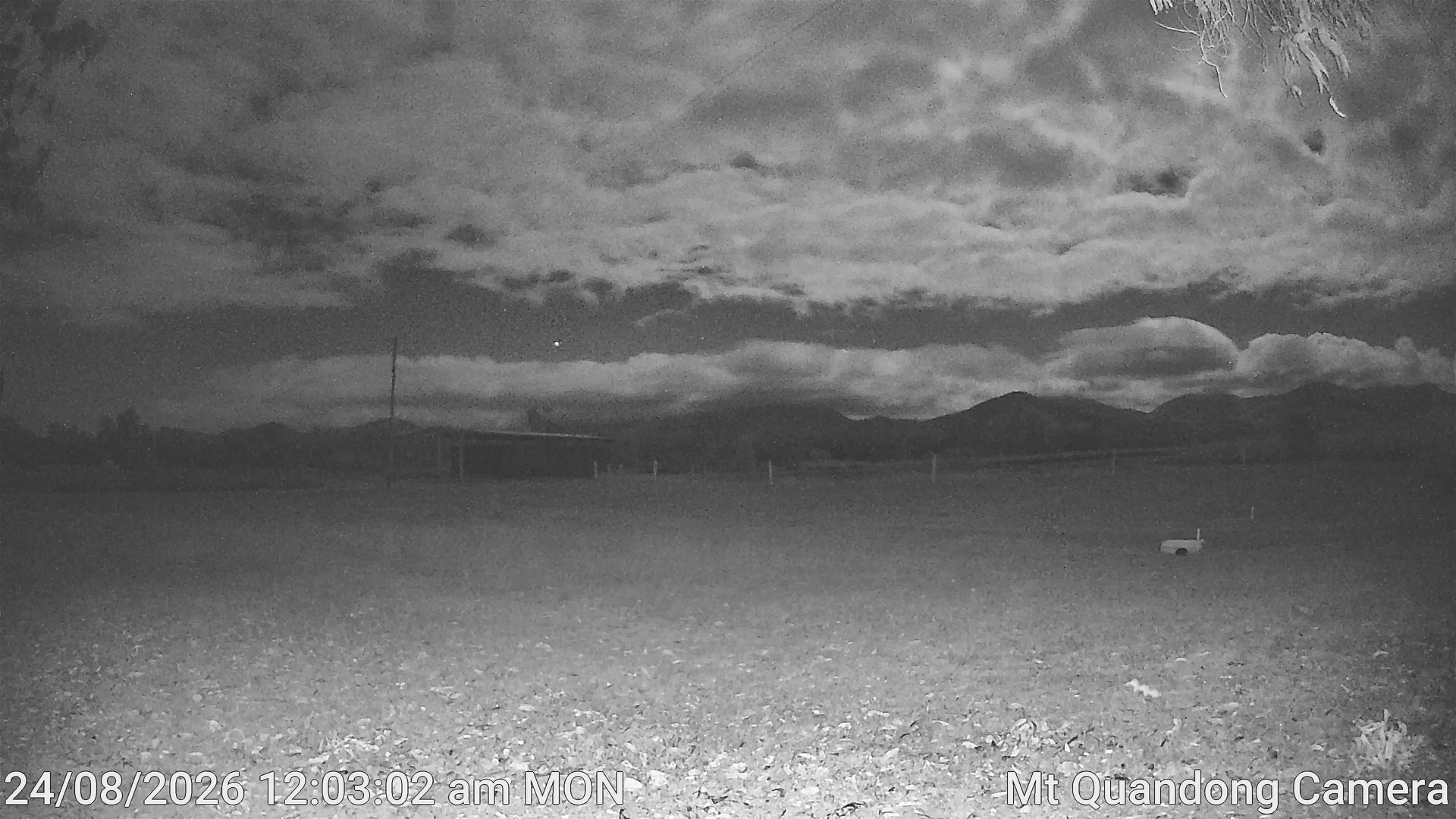 time-lapse frame, Mt Quandong Camera webcam
