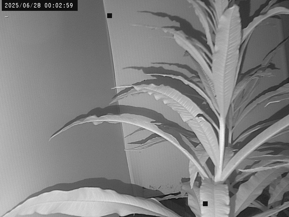 time-lapse frame, Weather Cam webcam