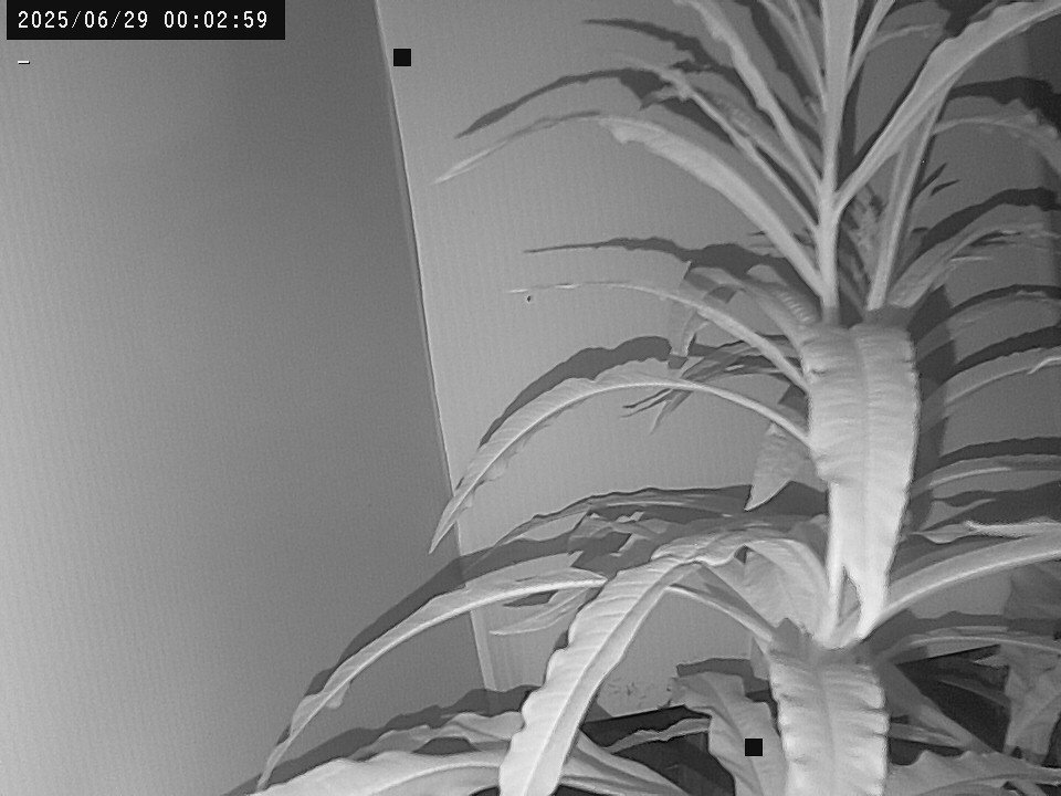time-lapse frame, Weather Cam webcam