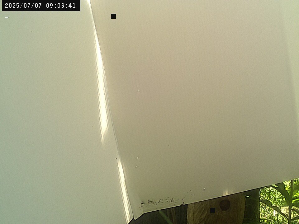 time-lapse frame, Weather Cam webcam