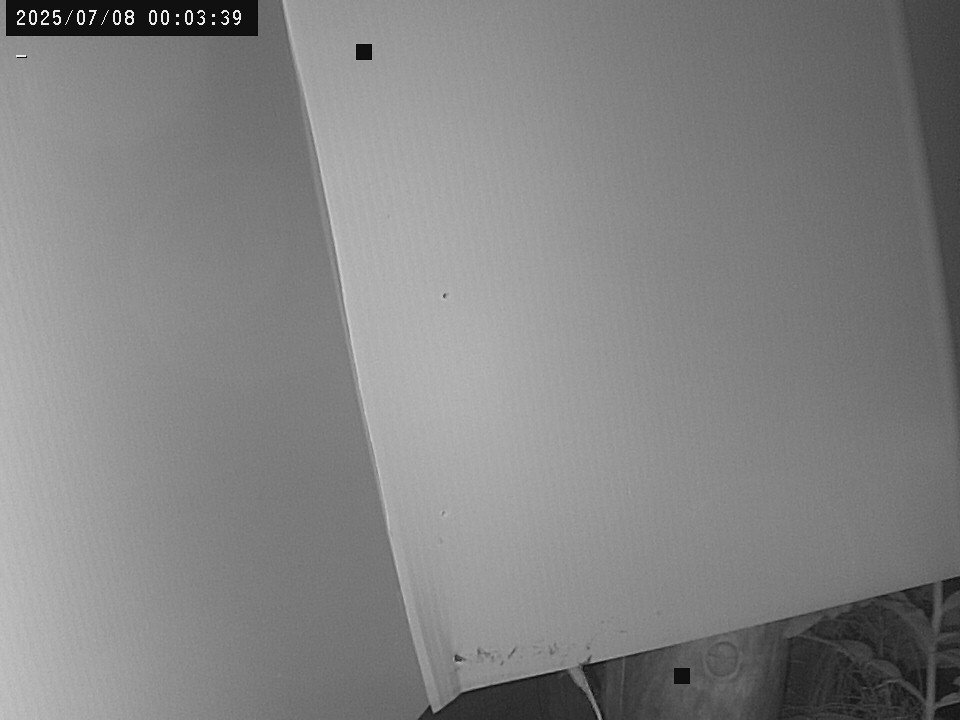 time-lapse frame, Weather Cam webcam