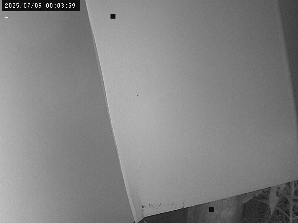 time-lapse frame, Weather Cam webcam