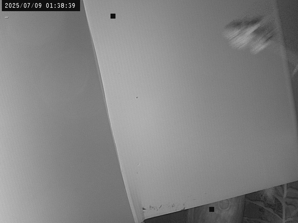 time-lapse frame, Weather Cam webcam